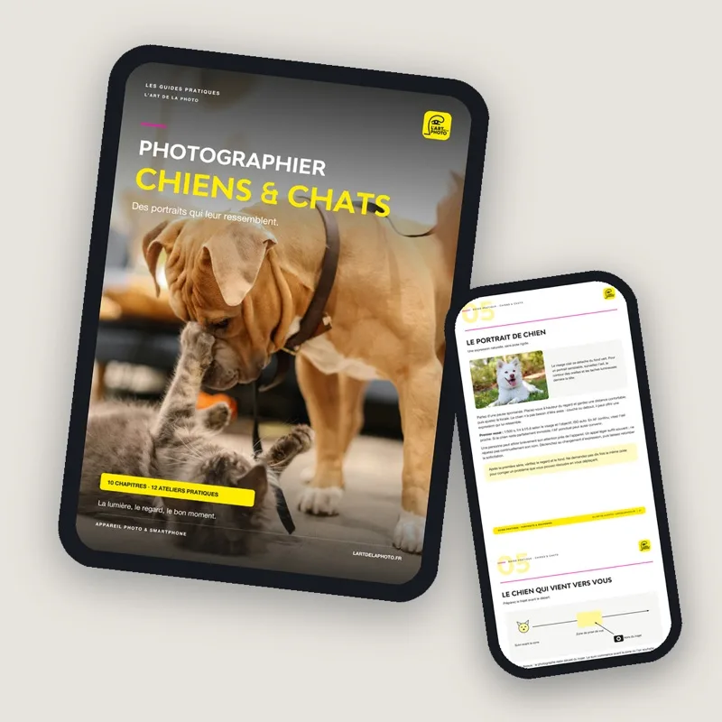 Le guide Photographier chiens et chats