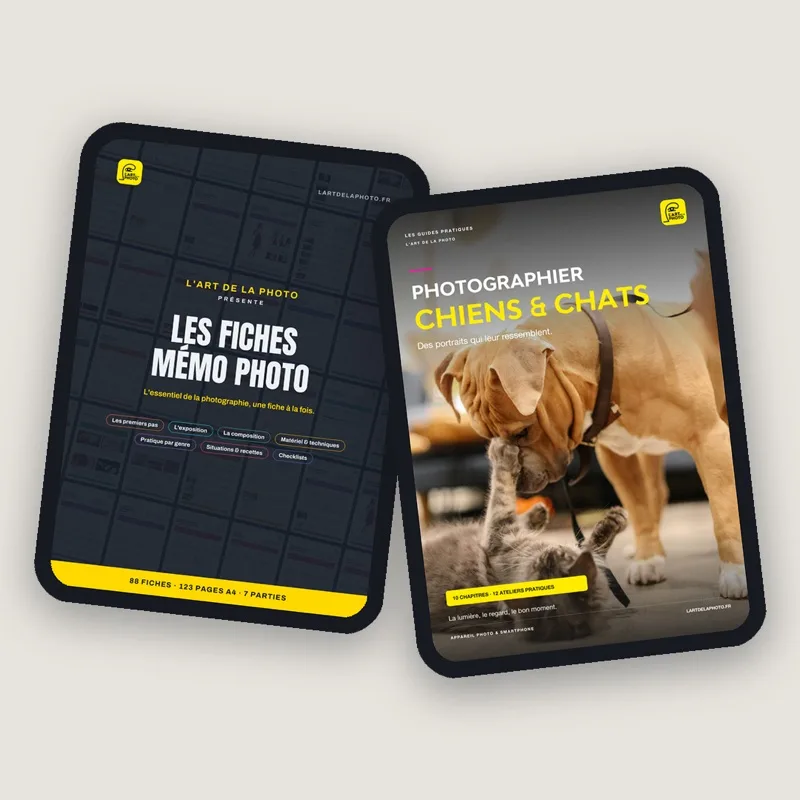 Le guide Photographier chiens et chats et Les Fiches Mémo Photo